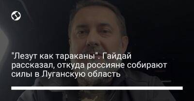 "Лезут как тараканы". Гайдай рассказал, откуда россияне собирают силы в Луганскую область