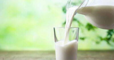 Сколько Беларусь зарабатывает на экспорте «молочки»?