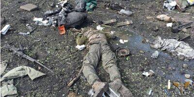 Украинские бойцы уничтожили подразделение десантно-штурмовой дивизии оккупантов