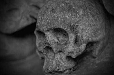 Человеческий череп возрастом почти 8000 лет найден в реке (Фото)