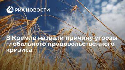 Песков: Россия не является источником угрозы глобального голода, всему виной санкции
