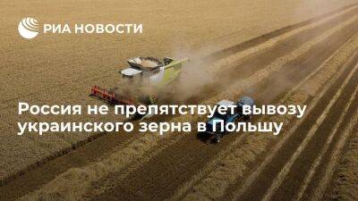Песков: Россия не препятствует вывозу украинского зерна в Польшу