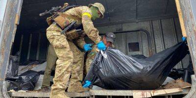 На освобожденной территории Харьковской области нашли 63 тела российских оккупантов: их надеются обменять