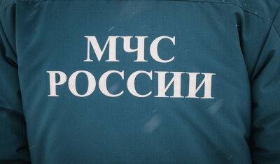 Доходы главы ГУ МЧС по Тюменской области упали за год в полтора раза