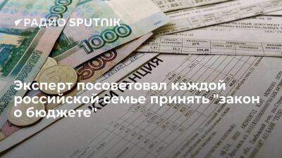 Эксперт посоветовал каждой российской семье принять "закон о бюджете"