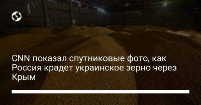 CNN показал спутниковые фото, как Россия крадет украинское зерно через Крым