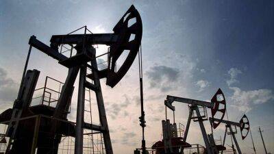 Глава ЕК признала невозможность немедленного эмбарго на нефть из РФ