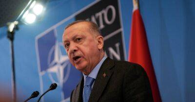 Турция официально выдвинула условия вступления Швеции в НАТО (список)