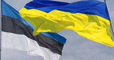 Больше всех в мире: Эстония передала Украине треть оборонного бюджета