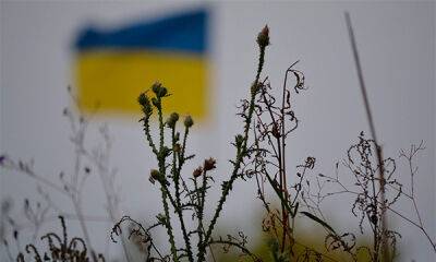 Лишь 10% украинцев готовы к территориальным уступкам для скорейшего завершения войны, 82% против – КМИС
