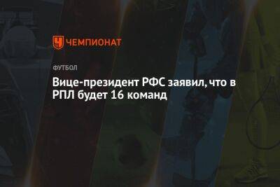 Вице-президент РФС заявил, что в РПЛ будет 16 команд