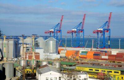 В украинских портах заблокировано 22 млн тонн зерна. Зеленский призвал в Давосе предупредить продовольственный кризис