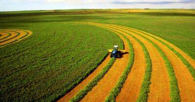 Сколько стоит земля для ведения сельского хозяйства в Украине во время войны