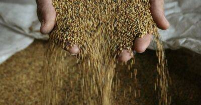 Председатель Еврокомиссии обвинила Россию в вывозе зерна из Украины