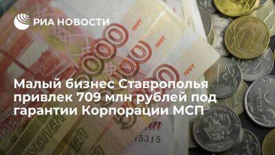 Малый бизнес Ставрополья привлек 709 млн рублей под гарантии Корпорации МСП