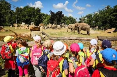 Вход для детей в зоопарк Праги на один день станет бесплатным