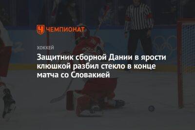 Защитник сборной Дании в ярости клюшкой разбил стекло в конце матча со Словакией