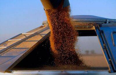 Китай призвал создать «зеленый коридор» для экспорта зерна из Украины и РФ