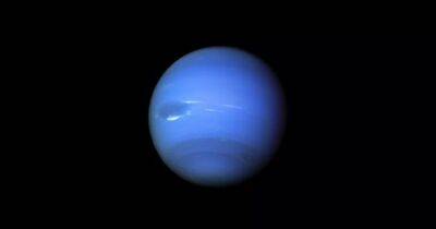Сутки длятся всего 16 часов, но сезоны по 40 лет: ученые рассказали об особенностях Нептуна