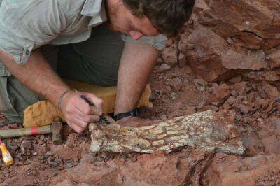 Палеонтологи нашли в Аргентине окаменелость огромного доисторического дракона смерти