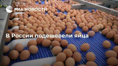 Росстат: в России с 14 по 20 мая яйца подешевели на 3,61 процента