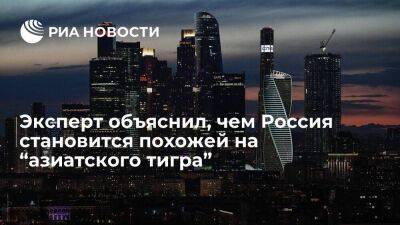 Аналитик Блинов заявил, что Россия благодаря "локализму" становится похожей на Гонконг