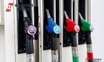 Бензин по осени считают: почему не дешевеет топливо на заправках