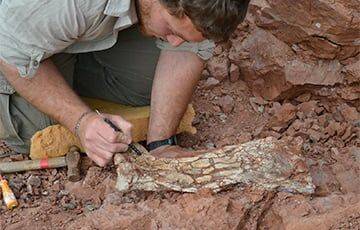 Ученые нашли в Аргентине огромного доисторического дракона