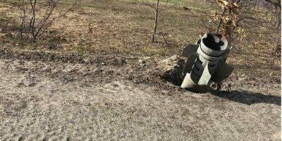 В небе над Хмельницкой областью уничтожили две крылатые ракеты оккупантов