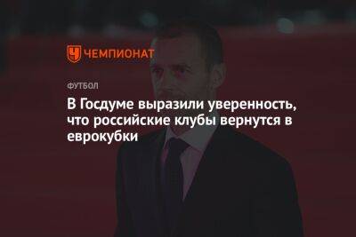 В Госдуме выразили уверенность, что российские клубы вернутся в еврокубки