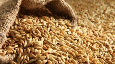 Россияне продолжают вывозить украинское зерно – омбудсмен