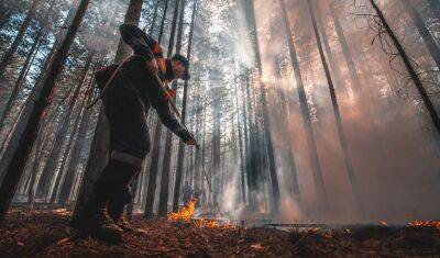 В Тюменской области до 16 июня продлили запрет на посещение лесов