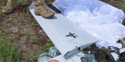Вражеские дроны. В Харьковской области ВСУ сбили два российских Орлана