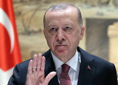 Турция желает достижения "справедливого мира" между рф и Украиной