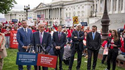 США: протесты против оружейного лобби