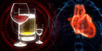 Вы больше не захотите пить. Кардиологи рассказали, какие дозы алкоголя вредны для сердца - nv.ua - Украина