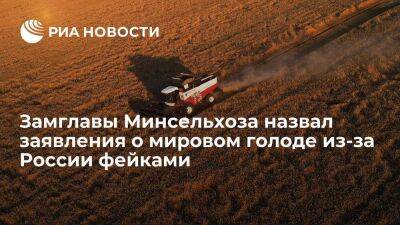 Замглавы Минсельхоза Разин назвал заявления о грядущем мировом голоде из-за России фейками