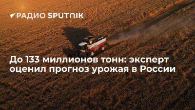 До 133 миллионов тонн: эксперт оценил прогноз урожая в России