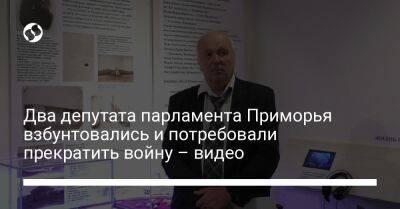 Два депутата парламента Приморья взбунтовались и потребовали прекратить войну – видео