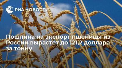 Минсельхоз: пошлина на экспорт пшеницы с 1 июня вырастет до 121,2 доллара за тонну