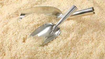 Россия с 1 июля может временно запретить экспорт риса