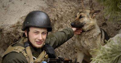 Спрятался в окоп и прижился: пес Фауст помогает Нацгвардии нести службу под Киевом (фото)