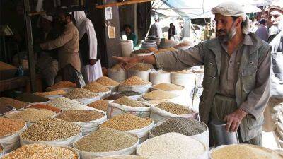 Эксперты подсчитали мировые запасы пшеницы
