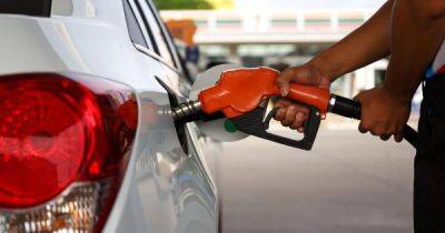 Нефтогаз создаст собственную сеть АЗС, чтобы удержать цены на топливо