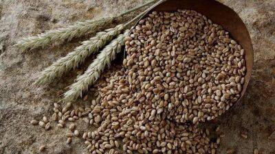 Клишас высказался за оплату поставок зерна и удобрений в рублях