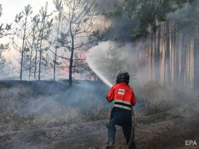 Оккупанты уничтожили более 17 тыс. гектаров леса в Луганской области, сумма ущерба – более 38 млрд грн