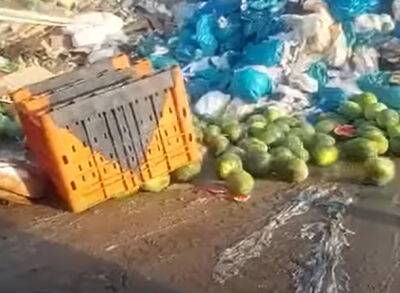 Минздрав Израиля уничтожил 58 тонн контрабандных палестинских арбузов