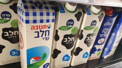 Израильтяне отказываются от молочных продуктов и переходят на их заменители