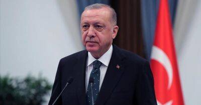 Диалог на "троих": Эрдоган предлагает устроит телефонный разговор с Путиным и Зеленским