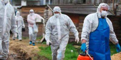 «Обвинят в биологическом оружии». В приграничных с Украиной областях РФ готовятся к эпидемии холеры — разведка